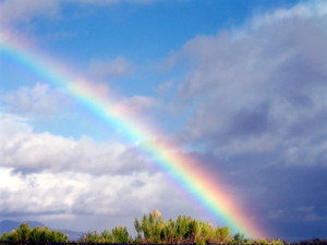 rainbow-weather2